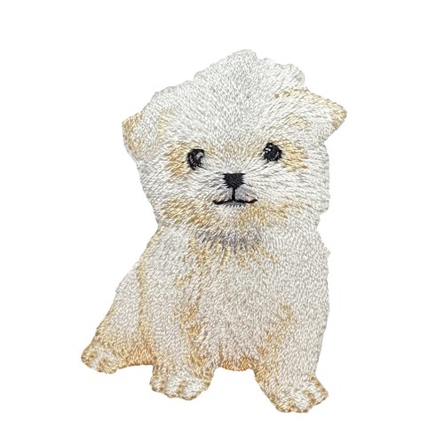 Maltese white dog - white, realistic