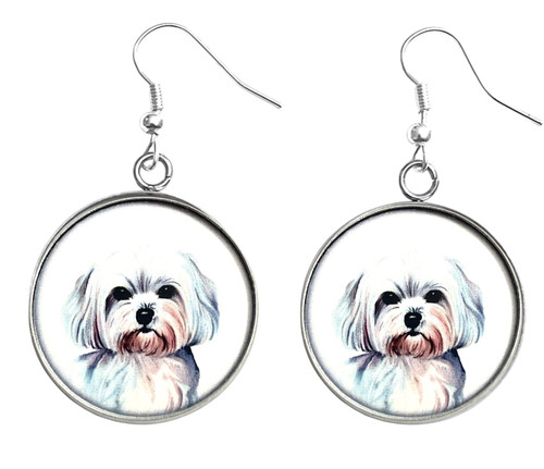 Maltese puppy dog - maltese, print
