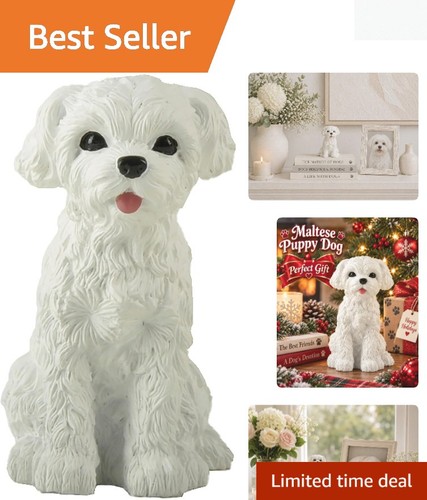 Adorable inch maltese - adorable,