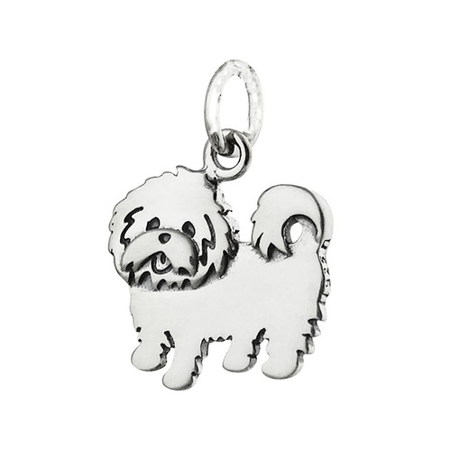 Maltese toy dog - breed, puppy