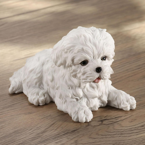 Maltese white terrier puppy - terrier,