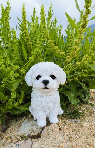 Pet pals puppy statue - pals,
