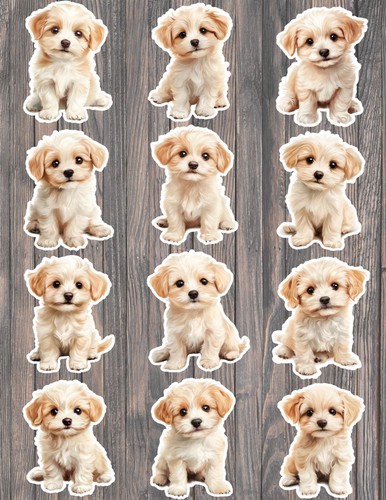 Maltese puppy dog die cut - maltese,