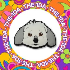 Super Cute Baby White Puppy