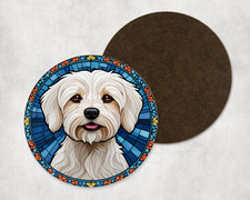 Beautiful Maltese Dog Puppy