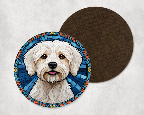 Beautiful maltese dog puppy - maltese,