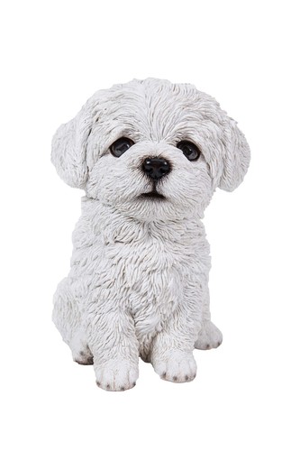 Line gift ltd - gift, pet