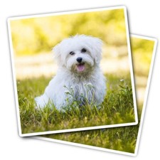 2x Vinyl Stickers Cute White