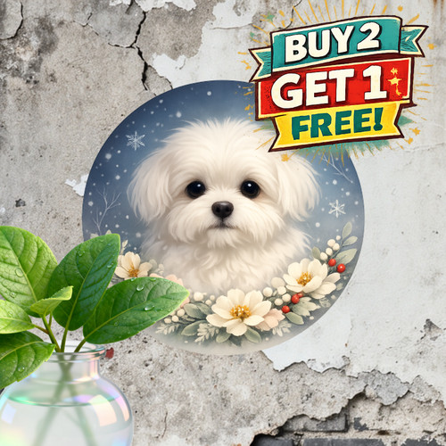 Maltese puppy dog - puppy, pet