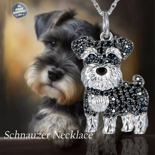 Exquisite and cute schnauzer - exquisite,