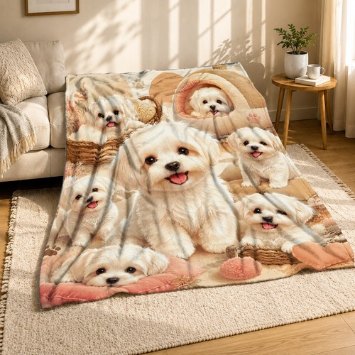 Maltese puppy collection coral - puppy,
