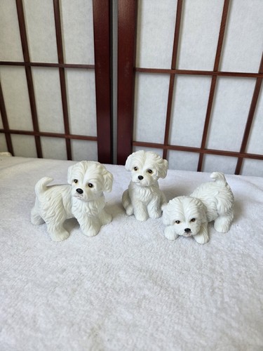Set vintage white maltese - white,